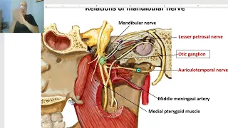 Anatomy of head and neck module in Arabic 26  (Mandibular nerve, part 1) by Dr. Wahdan.
