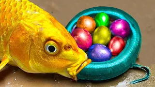 만화 잉어 물고기, 무지개 메기 Miu Miu, 다채로운 깜짝 계란, 점박이 개구리/ ASMR 스톱모션 요리 Funny Video
