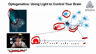 Optogenetics: Using light to activate the brain