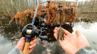 Alright, I'm convinced this works...Early Spring Bass Fishing