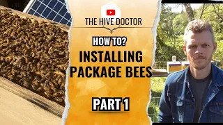 Installing Package Bees Part 1//Package Bee Installation//3 Pound Package Bees Installation