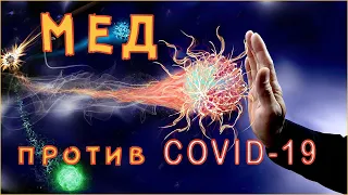 👉Чем полезен мед или какой мед полезнее для иммунитета во время COVID-19