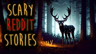 Unbelievable Scary Stories That Will Keep You Up All Night! | Scary Reddit Stories, Forest, Cryptids