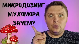 Употреблял Мухомор 1 месяц и вот те результат | Пантерный и Красный Мухомор | Микродозинг