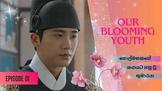 Our Blooming Youth Korean Drama Sinhala Review EP 01