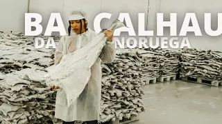 BACALHAU DA NORUEGA, A ORIGEM | Vida na Noruega