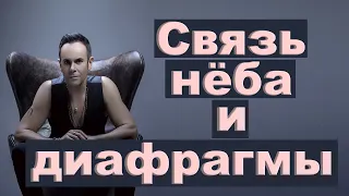 Связь нёба и диафрагмы  Андрей Солод. Часть 3.  Философия вокала