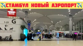 Конец свободе⭕️Возвращаюсь к мужу⭕️Москва-Стамбул-Тунис⭕️