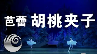 【舞蹈.芭蕾】胡桃夹子