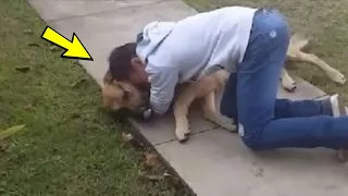 You won't be able to hold back your tears! Meeting of the owner and the dog they have been looking