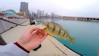 City Fishing in Downtown Chicago