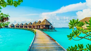 Enchanting Maldives: A Tropical Paradise Revealed