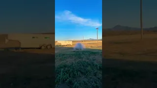 Guy puts a firecracker under a pot and watches it take off into the air