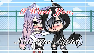 I Want You, Not The Alpha || GLMM || Gacha Life