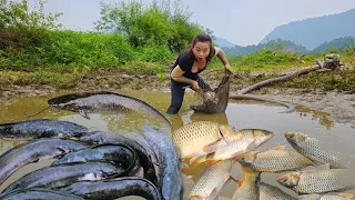 Use the pump to suck water out of the lake, catch many big and delicious fish.