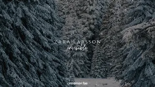 Zara Larsson - Invisible [Orchestral Version] (slowed + reverb) | by the fireplace with a snow storm