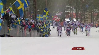 Skid-VM 2015 - Falun - 50 km (K)