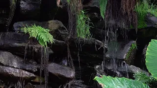 ФУТАЖ ВОДОПАД ВОДА