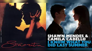 I Know What You Did To Senorita | Mashup of Shawn Mendes, Camila Cabello