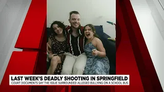 Court documents reveal new details into deadly Springfield shooting