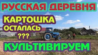 Работаем на тракторе ЛТЗ 55 красота!