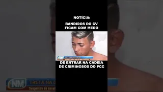 BANDIDO TEM MEDO ? #SHORT #SHORTS #PCC #CV #POLICIA