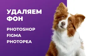 Как вырезать изображение от фона | Photoshop, Figma, Photopea, Remove Bg