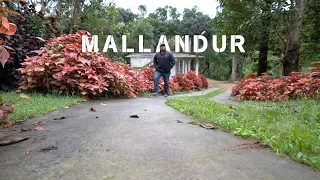 Most beautiful village in Chikamagaluru | Mallandur | Hirekolale Lake | Malaluramma Temple