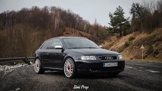 AUDI S3 - 600 KOŇOVÍ POŽIERAČ SPOJOK A NIČITEL DIFERENCIÁLOV