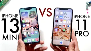 iPhone 13 Mini Vs iPhone 11 Pro! (Comparison) (Review)