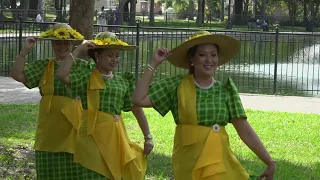 Jacksonville group teaching Filipino history through dance