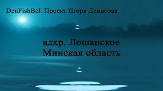 Водохранилище Лошанское Минская область