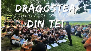 [O-Zone] Dragostea din Tei - Trupa Folk Z - la zilele Comunei Izvoarele