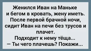 Иван После Первой Брачной Ночи Показал Теще! Сборник Свежих Анекдотов! Юмор!