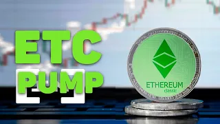 От куда взялся лютый памп и как майнить Ethereum Classic(ETC) под HiveOS?!