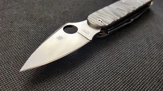 Successful Spyderco Dragonfly experiment