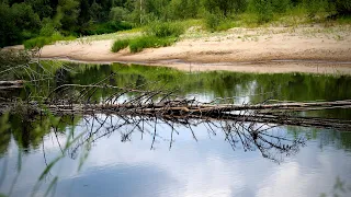 СО СПИННИНГОМ на КРАСИВУЮ ЛЕСНУЮ РЕЧКУ / РЫБАЛКА НА ВОБЛЕРЫ и БЛЁСНЫ