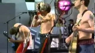 Red Hot Chili Peppers   Californication Ao-Vivo Live at eMp jadeD nV