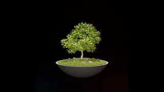 NFT - The third Meta Tree to come from the Garden of Eden