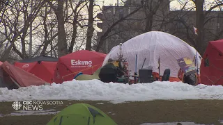 Urgent action on tent encampments is needed across Canada, says report