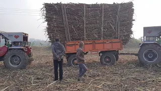 Mahindra Arajun 605 Tractor 🚜 Sugarcane load