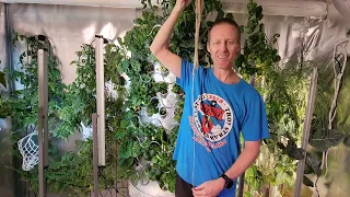 Gardyn vs. Iharvest vs. Lettuce Grow Hydroponic Systems Comparison - Best Hydroponic System 2023