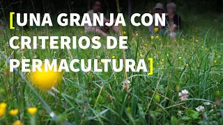 Como iniciamos nuestro proyecto permacultural [PERMACULTURA-SALUD-RESILIENCIA]