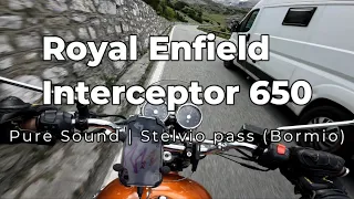 Stelvio Pass from Bormio | Royal Enfield Interceptor 650 | PURE SOUND | ZARD Exhaust