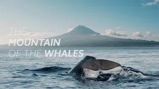 Pico: The Mountain of the Whales Full Film 4K
