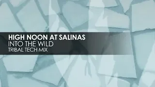 High Noon At Salinas - Into The Wild (Tribal Tech Mix)