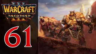 Прохождение Warcraft 3: Reforged #61 - Акт 1: Приручение земли [Орда - Основание Дуротара]