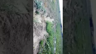 Арбузные поля казахстан
