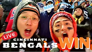 INSANE live reaction of Bengals fans playoff win vs. Titans 🔥 🐯