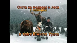 Охота на медведя и лося с лайками в тайге Южного Урала.